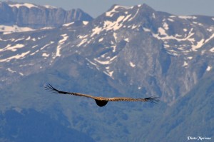 randonnee-pic-roumendares_036