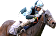 Hippodrome de Pau
