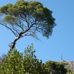 provence-fond-ecran-1024_006