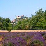 provence-fond-ecran-1024_020