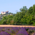 provence-greoux-les-bains_001