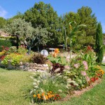 provence-greoux-les-bains_017