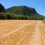 provence-greoux-les-bains_024