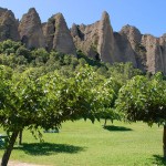 provence-sisteron_006