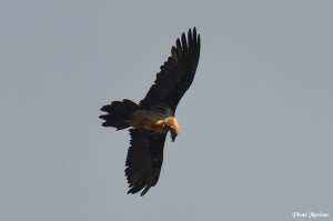 randonnee-pic-de-la-munia_047