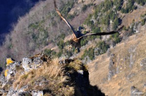 randonnee-mustayou_039