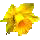 Fleurs des Pyr&eacute;n&eacute;es