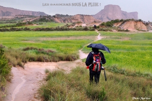 Bardenas-reales-la-piskerra_000