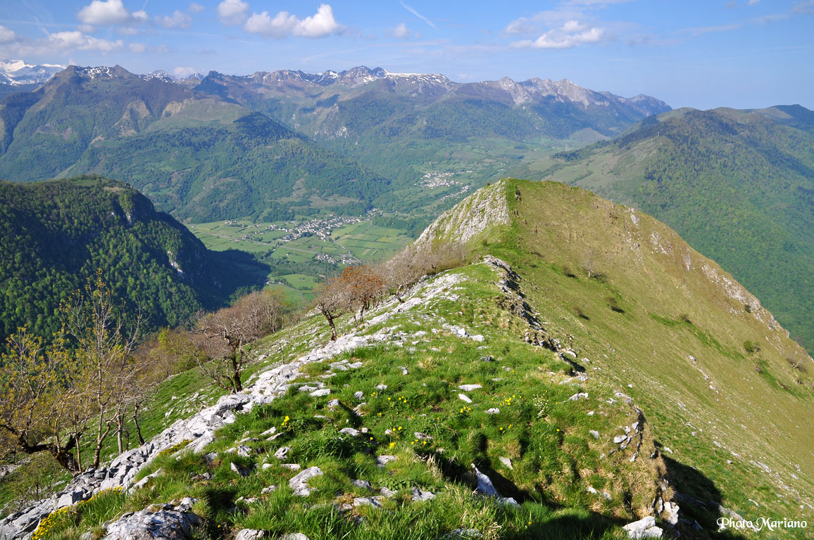 Randonnée Montagne du Rey 1349m par le versant Sud