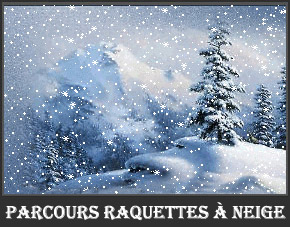 Idées Parcours Raquettes à neige dans les Pyrénées