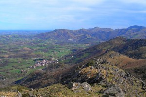 Atxuria
