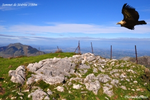 Randonnee-sommet-de-Seserite-1588m_000