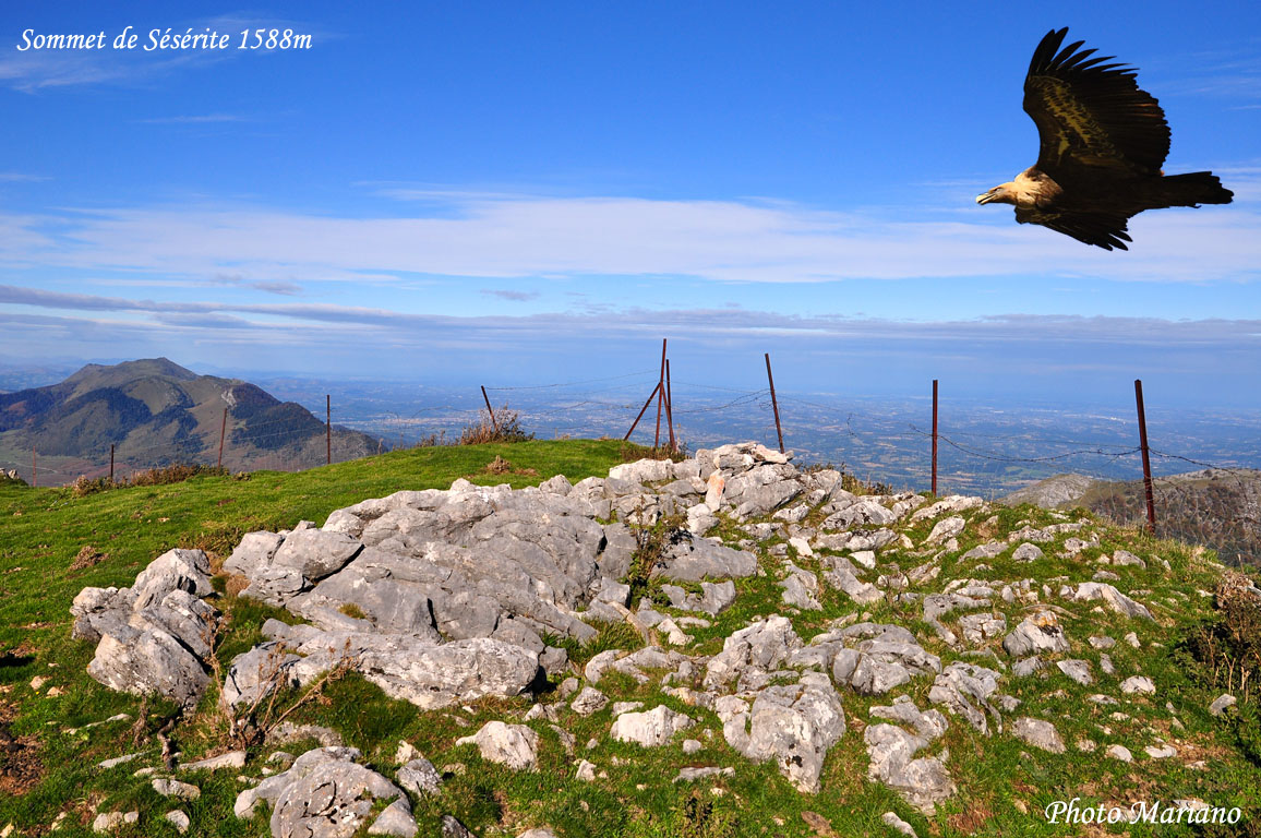 Randonnée sommet de Sésérite 1588m