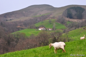 Randonnee-Mont-Ursuia-678m_000
