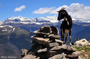 Randonnee-Pelopin-Manchoya-Aragon_000