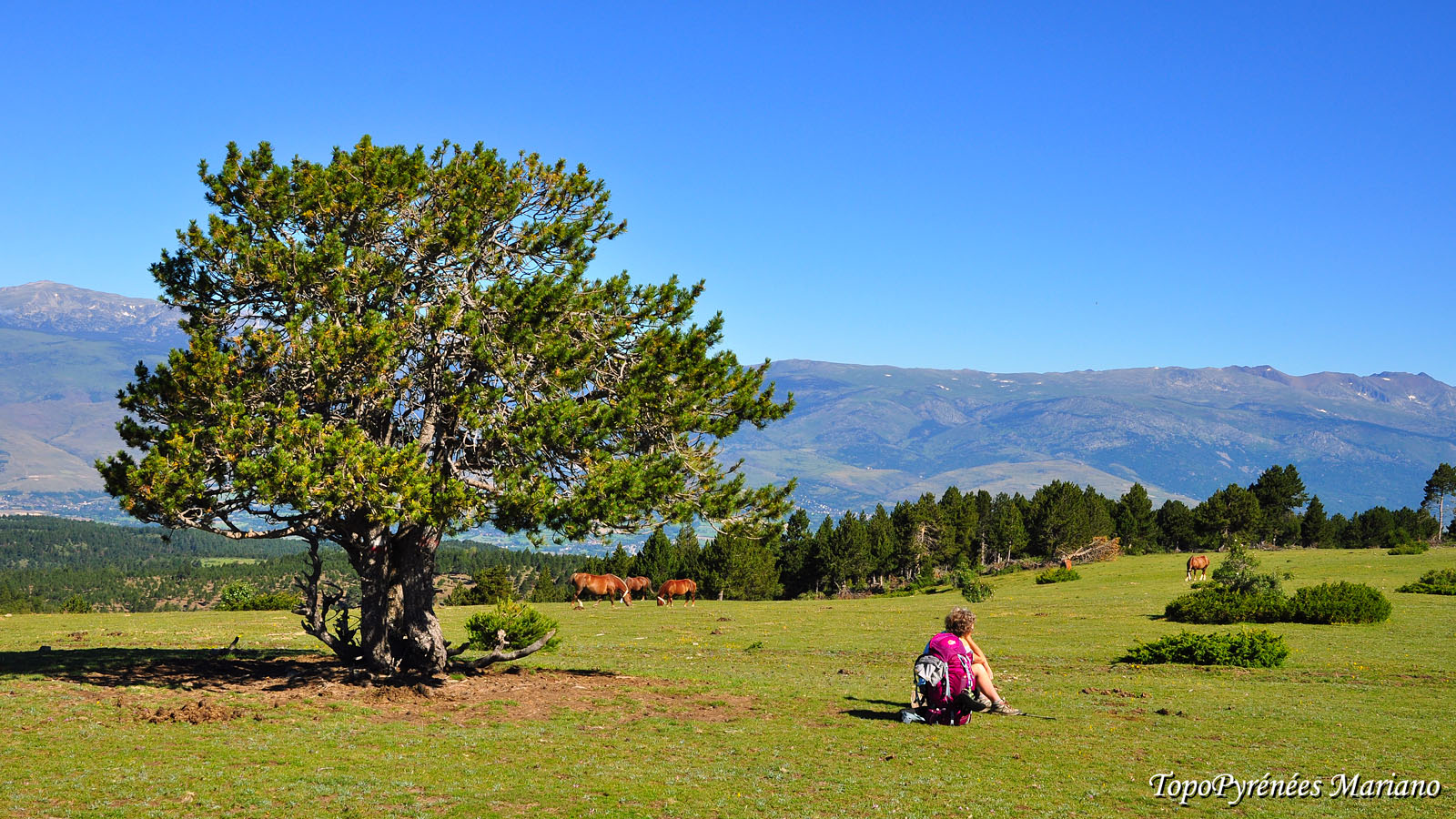 Traversée des Pyrénées 31em Etape (Camping Las Asperas – Camping Can Fosses de Planoles)