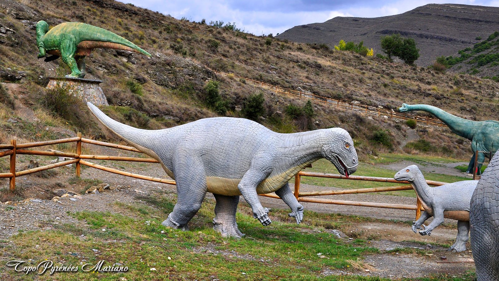 Traces de Dinosaures
