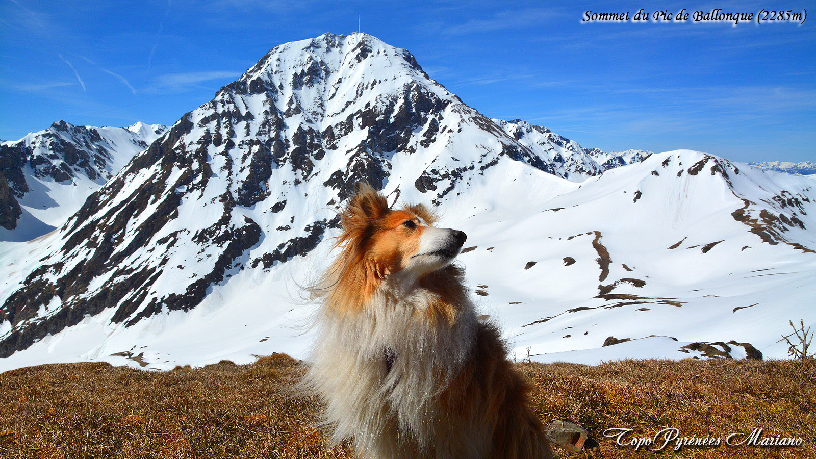 Raquettes et Ski Rando au Pic de Ballonque (2285m)