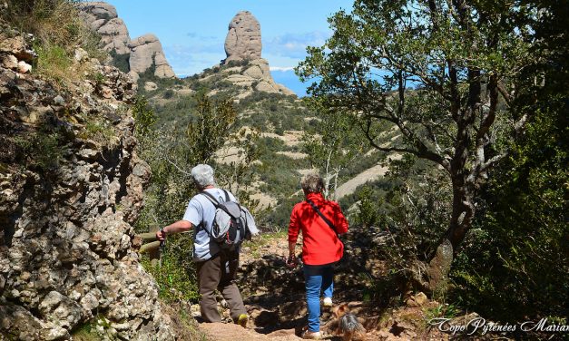 Randonnée Sant Jeroni (1236m) Montserrat