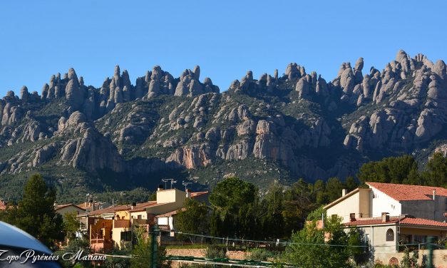 Randonnée Sant Jeroni (1236m) Montserrat