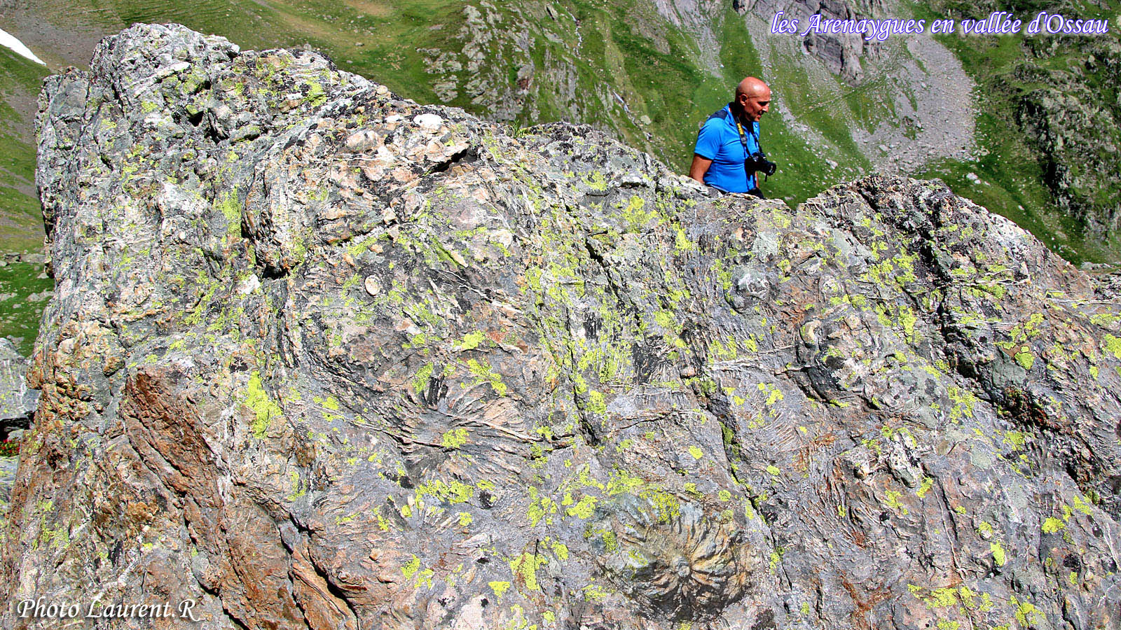 Randonnée aux Arenaygues et aux Pierres Gravées (en vallée d’Ossau)