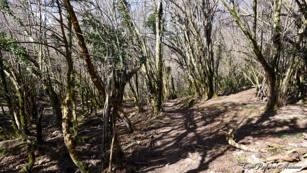 Cromlechs-Lous-Couraus_027