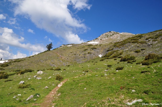 randonnee-signal-de-bassia_004