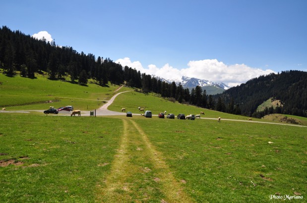 randonnee-signal-de-bassia_051