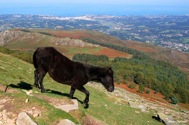 randonnee-la-rhune_037