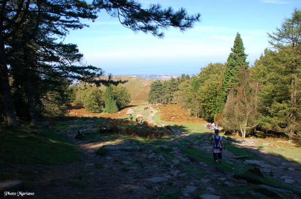 randonnee-la-rhune_041