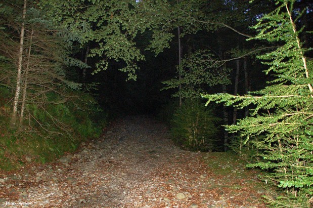 randonnee-pic-sesques_001