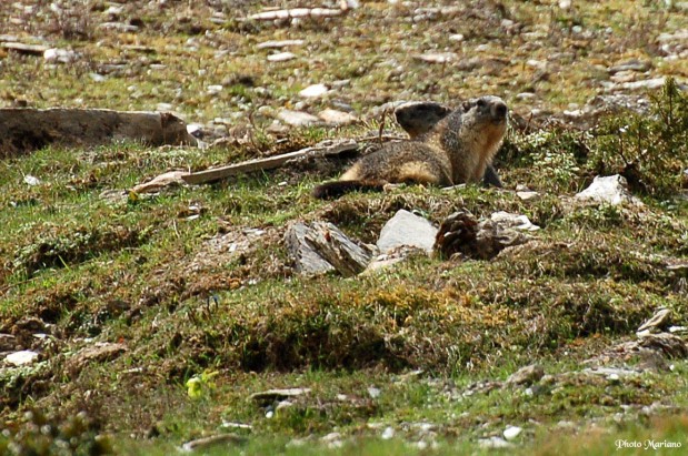 randonnee-soum-de-grum_048