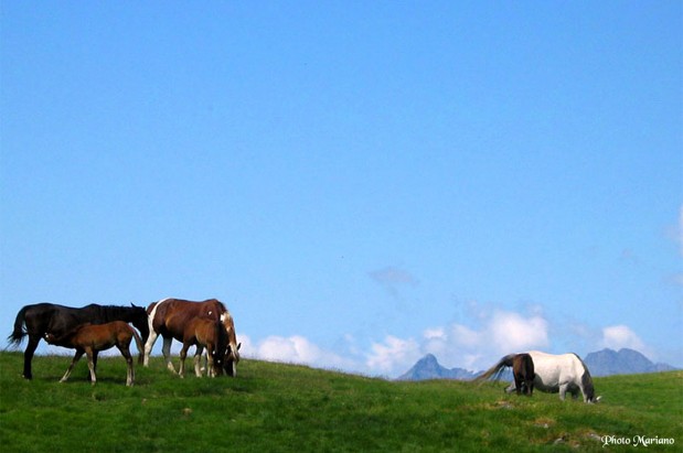 randonnee-breche-de-roland_022