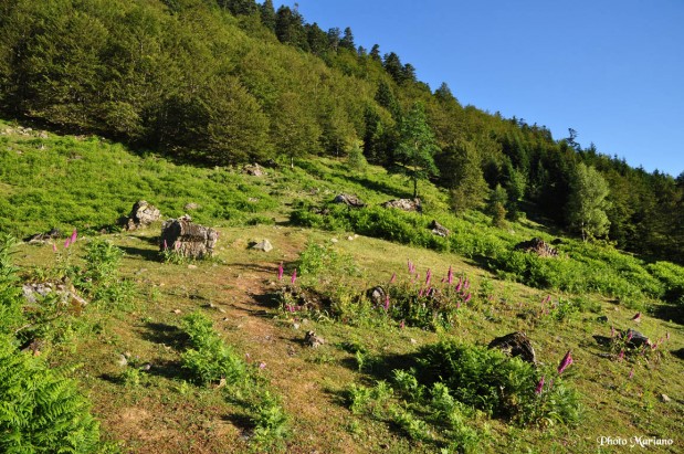 randonnee-pic-aule-pic-aulere_004