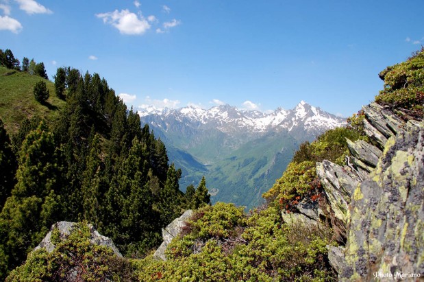 randonnee-pic-viscos_010