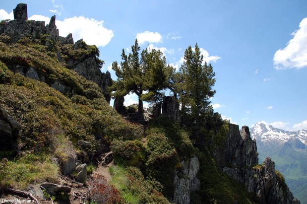 randonnee-pic-viscos_030