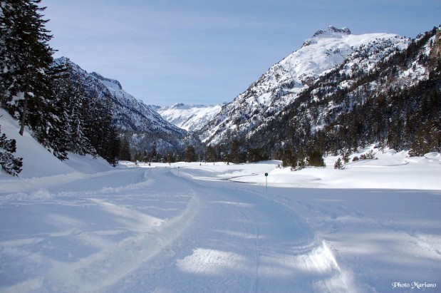 raquettes-refuge-wallon_016