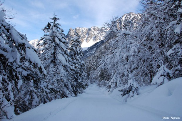 raquettes-refuge-wallon_039
