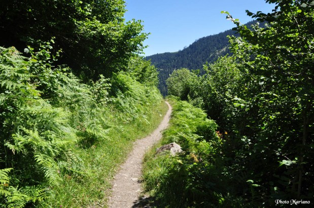 randonnee-arbizon_095
