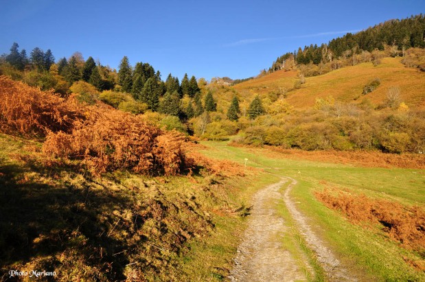 randonnee-counee-barsaut_006