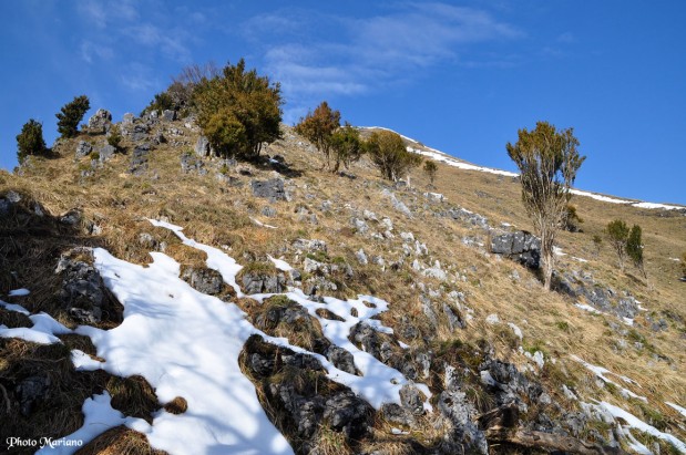 randonnee-trone-du-roi_009