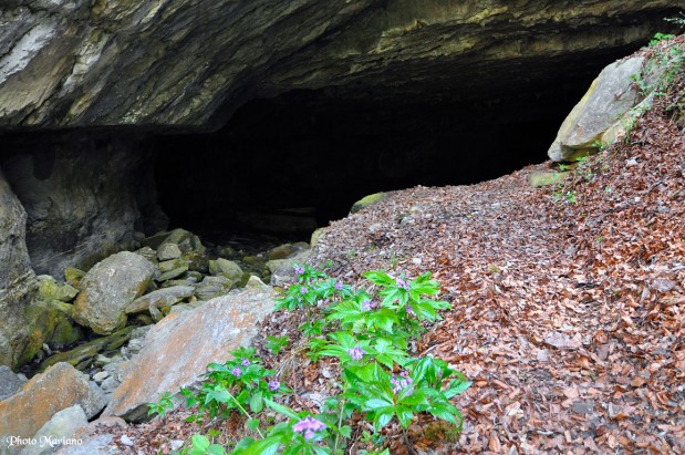 randonnee-grotte-par-le-sentier-des-fenetres_093