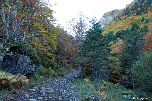 randonnee-lac-bleu-pic-bizoutere_002