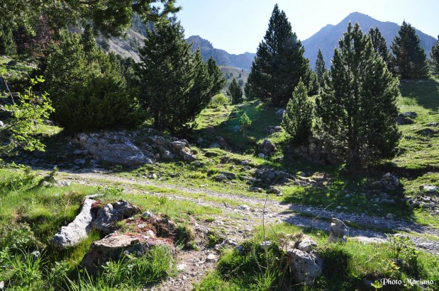 randonnee-refuge-ibonciecho_008