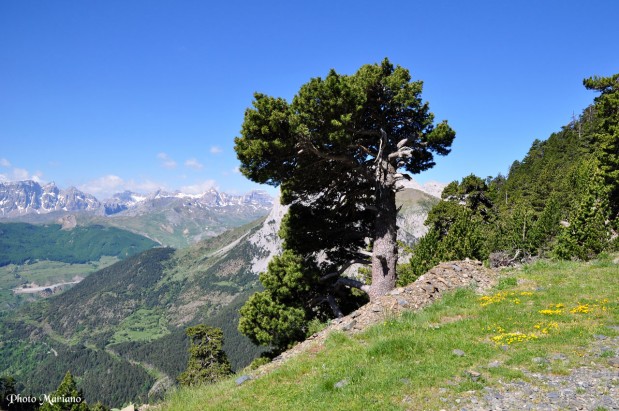 randonnee-refuge-ibonciecho_029