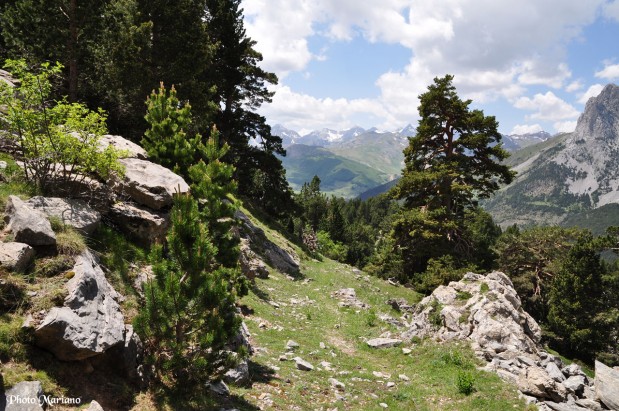 randonnee-refuge-ibonciecho_089