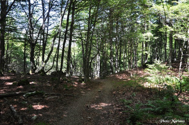 randonnee-mardas-montagnon-d-iseyes_113
