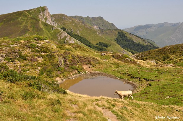 randonnee-pic-lasneres_060