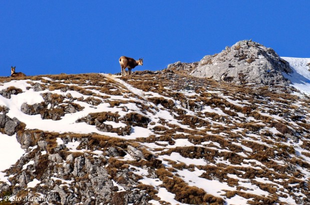 Raquettes-pic-de-la-Gradillère-2271m_010