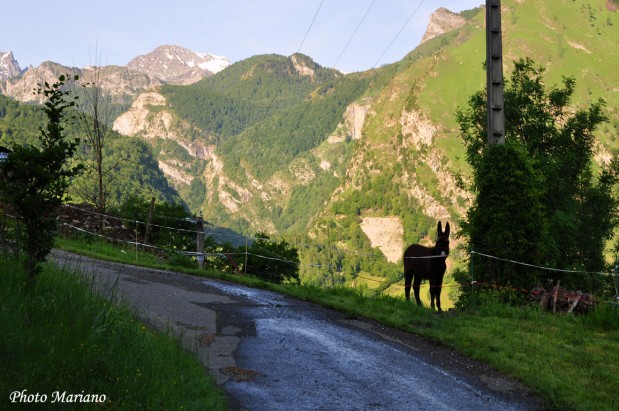 Randonnee-la-Montagne-Verte_007